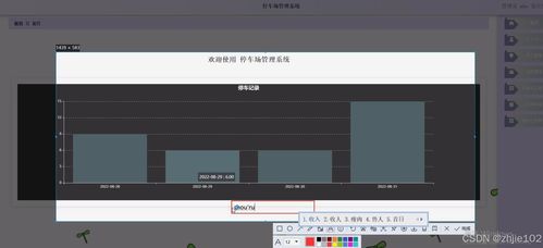 基于Django與Vue的停車場管理系統(tǒng) 計算機畢業(yè)設(shè)計代理代辦服務(wù)