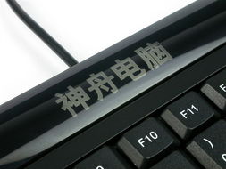 神舟唐朝 F100 一體電腦 簡潔高效的辦公與家用桌面解決方案